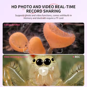 Microscopio 500X 2MPポケット顕微鏡キッズカメラ2インチIPSカラースクリーンキッズ顕微鏡幼児教育用おもちゃキット - Product Image 3