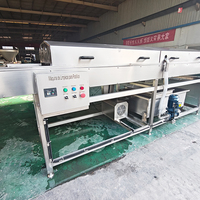 YouBan Borstelrol Schil- en Wasmachine CE-gecertificeerd Energiezuinig Hoge Capaciteit Groente- en Fruitverwerking