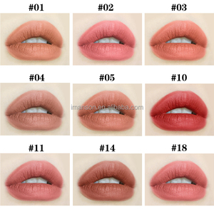 Private Label Cosmetics White Tube Lip Makeup Custom Cream Waterproof Nude Matte Lipstick - Product Image 3
