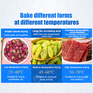 ORME工业专业批发蔬菜木薯片脱水机橙色水果切片机脱水 - Product Image 3