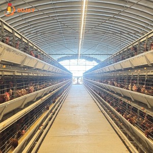 Cage à poulets automatique de type H, robuste et spacieuse, fabriquée en Chine, équipement d'élevage avicole pour poulettes pondeuses - Product Image 1