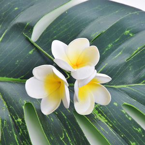 Fabrika tedarikçisi 8 renk EVA köpük 3-Plumeria saç Pick Hula kız dans Hawaii yapay Frangipani çiçek - Product Image 4