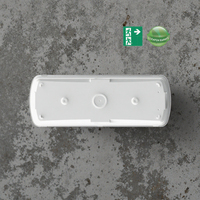Lampe de secours étanche IP65 en plastique à LED rechargeable Ni-Cd, blanc froid, 6000K, autonomie 3H, garantie 2 ans