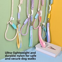 Laisse de dressage pour chien en corde réfléchissante rose avec poignée rembourrée, amortissante et anti-traction, pour chiens de petite et moyenne taille