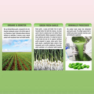 Extrait d'ail vert biologique de haute qualité, marque privée, SANS GLUTEN & SANS SOJA, anti-inflammatoire et antibactérien, en gélules molles - Product Image 3