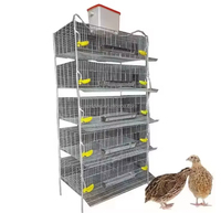 Cage d'élevage pour cailles, Cage tridimensionnelle pour perdrix, Nettoyage automatique du fumier, Cage galvanisée, Cage d'alimentation automatique des œufs
