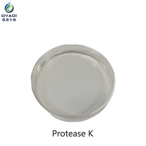 Protease K Flüssigreagenz in Laborqualität für die Proteindegradation bei der Nukleinsäureextraktion - Product Image 2