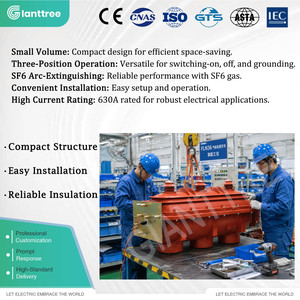 <span class=keywords><strong>Interruptor</strong></span> de Corte de Carga <span class=keywords><strong>SF6</strong></span> GIANTTREE FLRN-36 con Operación Manual/Eléctrica Opcional para Equipos de Conexión Eléctrica Interiores Completos - Product Image 2