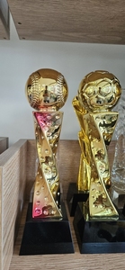 <strong>Custom</strong> Designs Gold Silver Bronze Resin Crown Trophy Crystal Crown Awards for Business Gift - Product Image 6