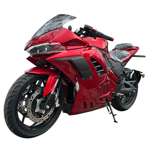 Motocicleta Todoterreno de 72V 3000W en Venta para Conducción en Montaña - Product Image 3