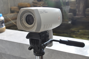 CE được phê duyệt Kernel xách tay video kỹ thuật số colposcope với đứng - Product Image 3