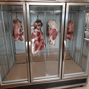Réfrigérateur-congélateur commercial suspendu de haute qualité pour la présentation de viande, idéal pour les supermarchés et les boucheries - Product Image 1
