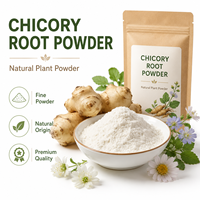 Poudre de racine de chicorée blanche de qualité alimentaire, riche en inuline, probiotiques intestinaux naturels à base de plantes, aliment fonctionnel brut