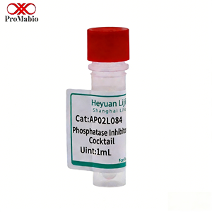 Cocktail Inibidor de Fosfatase 50X com 99% de Pureza, 1ml -20°C para Armazenamento, para Análise e Pesquisa Fiáveis de Proteínas - Product Image 1