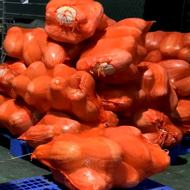 Légumes biologiques de haute qualité provenant de régions montagneuses de haute altitude citrouille biologique mûre 100% saine et délicieuse