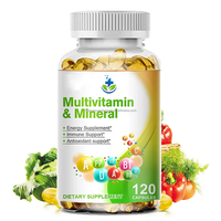 Gélules de Vitamines et Minéraux Véganes en Gros pour OEM : Complexe de Vitamines A, C, B3, B5, B6, B12, Calcium, Fer, Zinc