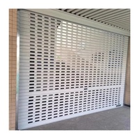 Porte de volet roulant automatique commerciale moderne finie avec grille à distance pour centre commercial