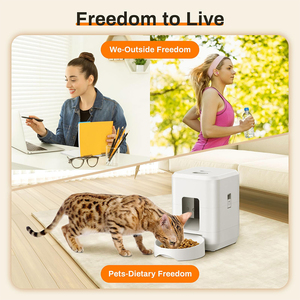Distributeur automatique de nourriture pour animaux de compagnie 2L avec minuterie et alimentation à distance, distributeur de nourriture pour chiens avec grande fenêtre de visualisation, distributeur automatique pour chats et chiens - Product Image 4