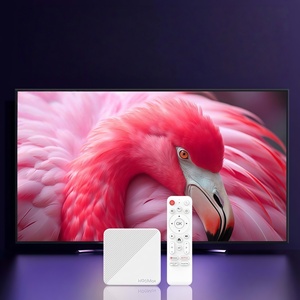 TV Box H96 8K para Múltiples Dispositivos Inteligentes, TV Box Premium con Android 12, Solo para Europa, Alemania, Francia, Austria - Product Image 2