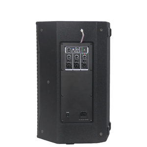 <span class=keywords><strong>Leon</strong></span> Audio 10 pulgadas pro audio 600W activo Karaoke Powered madera DSP pa altavoz - Product Image 4