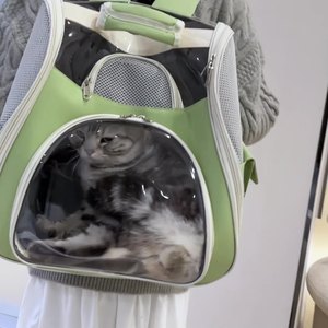 <b>Cat</b> <b>Backpack</b> Transparent Large Capacity Breathable Pet <b>Carrier</b> for Travel - Product Image 3