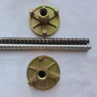 Tige de coffrage en béton galvanisée haute résistance 40Cr D16, attache de coffrage, attache murale, testée TUV Rheinland