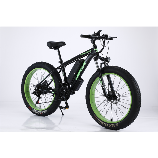OEM Customized E Cycle Electric Bike for Sale/Factory Price Bike Makes Electricity/28 Inch Wholesale Buy Electric Bike in China