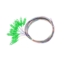 Factory Direct Price 12-Core 0.9mm SC/APC Single Mode Fibre Bundle Pigtail 1M Available Fibre Optic Patch Cord