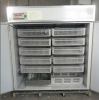 Hhd Big Industrial 3000 Oeufs Incubateur Automatique Et Four De Séchage Incubateur D'oeufs Commercial À Vendre