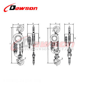 DAWSON Qingdao JIGGING pabrik Tiongkok seri DS-<span class=keywords><strong>HSZ</strong></span>-<span class=keywords><strong>B</strong></span> 0.5 t-20t blok rantai untuk tambang - Product Image 1