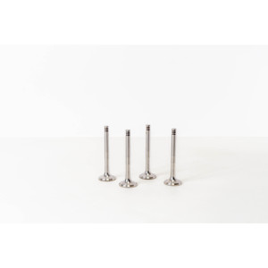 Valvola di scarico adatta per motori VOLKSWAGEN 046109611C - Product Image 1