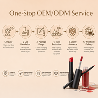 Kit de Labios de 3 Piezas HKH, Marca Privada OEM ODM, Delineador de Labios, Brillo Labial, Lápiz Labial Vegano, Resistente al Agua, Larga Duración, Logotipo Personalizado