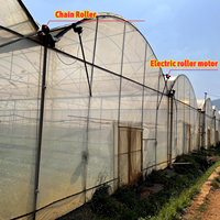 Serre multi-chapelles en film plastique pour agriculture verticale et hydroponie automatique avec système hydroponique intérieur