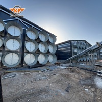 Équipement d'élevage avicole entièrement automatique, système de cages en batterie peu encombrant, cage à poules pondeuses pour projet d'élevage avicole