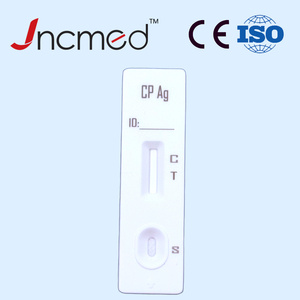 Kit di Rilevamento <span class=keywords><strong>Malattie</strong></span> Aviarie, Dispositivo di Diagnosi Veterinaria, Test Rapido dell'Antigene di Chlamydia Psittaci per Uccelli - Product Image 5
