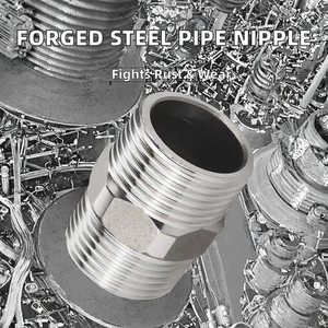 Conexiones de Niple Macho Hexagonales de Hierro Fundido de Alta Calidad con Roscas ASTM BSPT/NPT, Resistentes a la Corrosión y a los Químicos, Lisas, OEM - Product Image 2
