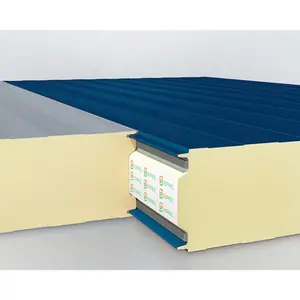 Cold Room EPS Wall Panel Sandwich