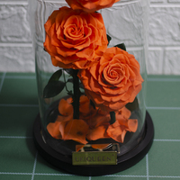 3 rouge Préservé Infini Vraies Fleurs Fraîches Belle Beauté 3 Ans Longue durée Pour Toujours Rose dans le Dôme De Verre