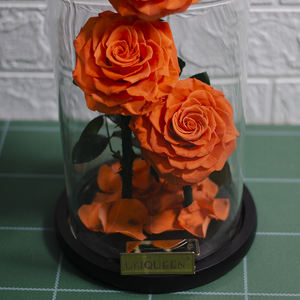 3 rosso Conserve di Infinity Reale <span class=keywords><strong>Fiori</strong></span> Freschi Belle Bellezza 3 Anni di Lunga Durata Per Sempre Rosa in Cupola di Vetro - Product Image 5