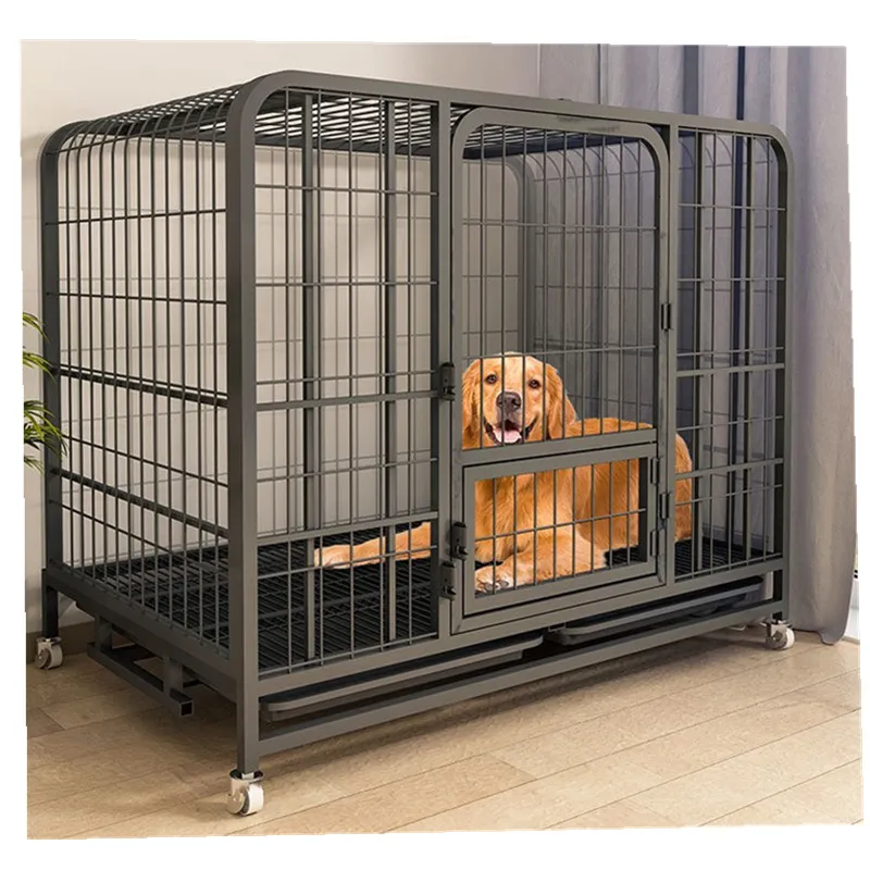 Cage de chenil à Double porte pour chien avec métal noir pliable et robuste de haute qualité pour intérieur et extérieur de 48 pouces