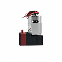Pompa Diafragma Mikro DC 4.2L 7W 24V Motor Sikat Karbon Pompa Tinta Udara untuk Printer DTF Solvent