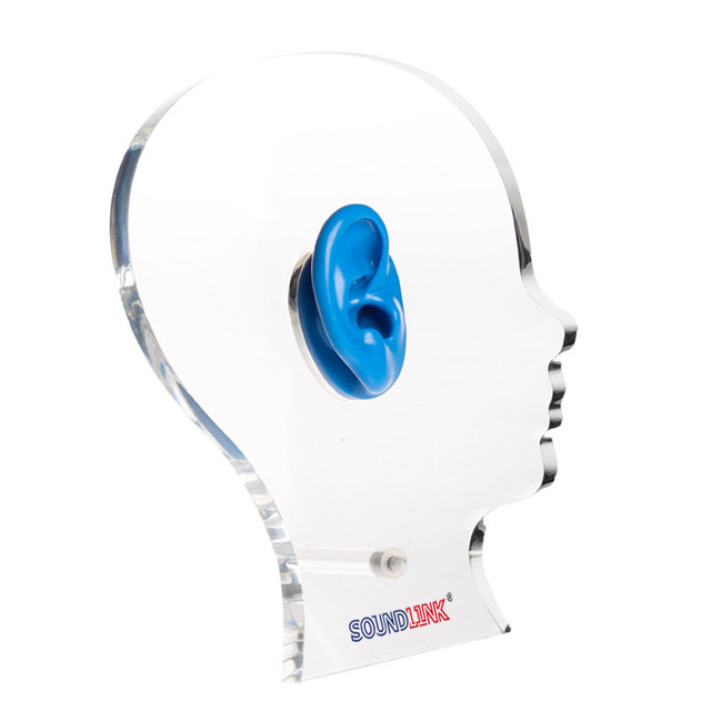 Acrylic Head Shape Hearing Aids Silicone Ear Model for Hearing Aids Store