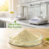 Poudre de Peptide de Pois en Gros, Ingrédient Protéiné Végétal de Haute Pureté pour Aliments, Boissons, Compléments et Aliments Fonctionnels