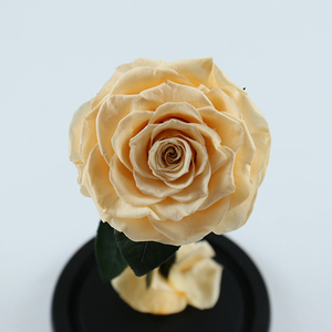 All'ingrosso <span class=keywords><strong>love</strong></span> & roses michael keegan ha conservato una rosa reale di lunga durata con coperture in vetro per il regalo di san valentino - Product Image 5