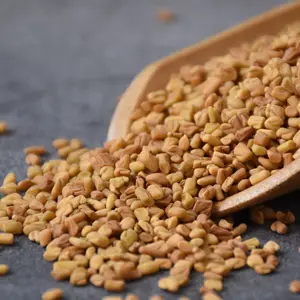 100% Natural Rich Flavor Fenugreek Seed Factory Direct Sale Single Spice