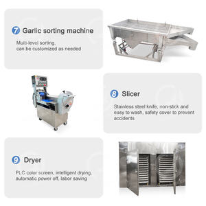 สายการผลิตผงกระเทียมอัตโนมัติเครื่องปอกเปลือกกระเทียมมหาสมุทร - Product Image 5