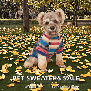 <span class=keywords><strong>Pull</strong></span> en tricot style simple avec motif ours et cœur pour petits chiens et chiots, collection automne-hiver, livraison rapide, vente en gros <span class=keywords><strong>de</strong></span> vêtements pour animaux <span class=keywords><strong>de</strong></span> compagnie - Product Image 3