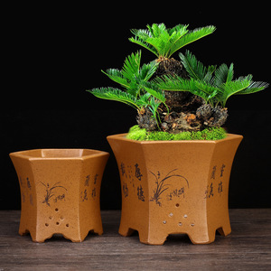 <span class=keywords><strong>Pot</strong></span> d'orchidée hexagonal simple en Zisha de Yixing, <span class=keywords><strong>pot</strong></span> respirant pour Clivia et <span class=keywords><strong>Cymbidium</strong></span>, décoration de bureau et de salon pour bonsaïs - Product Image 3