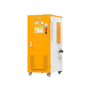 FRUIT RIPENING 12KW 18kw 24kw 36KW 48kw 220V/380V BEST PRICE HIGH PRESSURE AUTOMATIC ELECTRICALLY STEAM GENERATOR STEAM BOILER