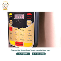 Appareils de cuisine à Dubaï, cuiseur à riz automatique avec thermostat, cuiseur à riz automatique de luxe de 5 L